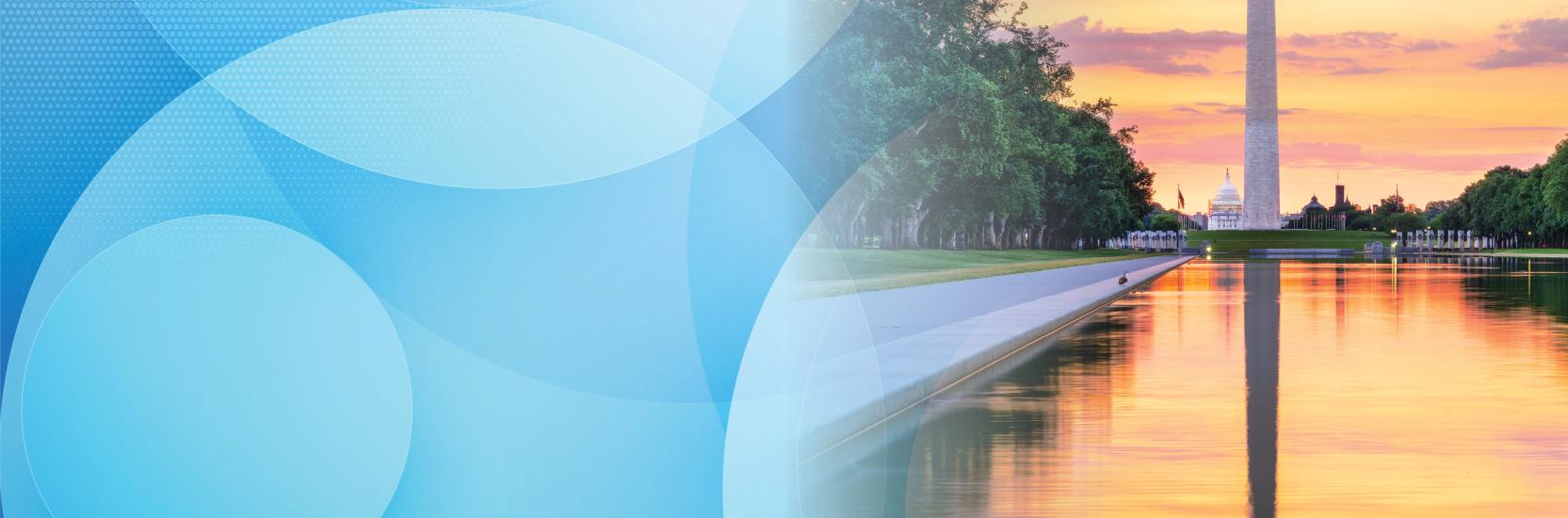 The Washington Monument