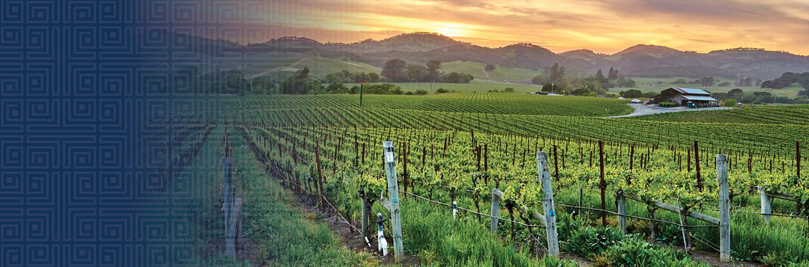 Sonoma California